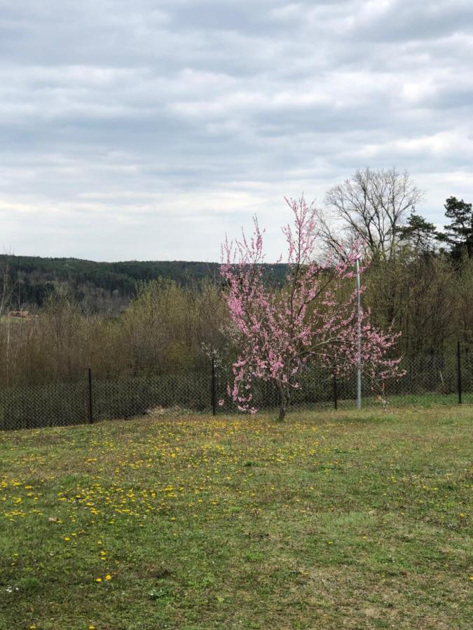 Landhaus Suedburgenland Villa Olbendorf Eksteriør billede